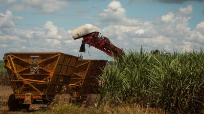 Moagem de cana cai no Norte e Nordeste, mas produção de etanol cresce
