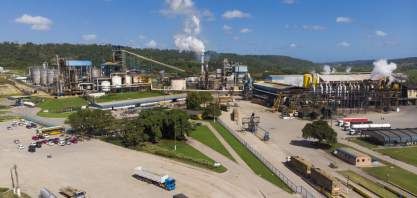 Usina Caeté abre vaga de emprego em unidade de São Miguel dos Campos