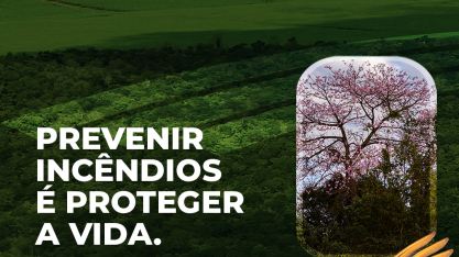 CMAA lança nova edição do Programa de Prevenção e Controle a Incêndios Rurais e reforça ações de proteção à vida e ao meio ambiente