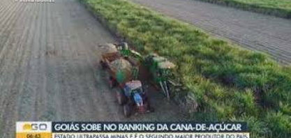 Goiás alcança a segunda posição no ranking de maiores produtores de cana do Brasil
