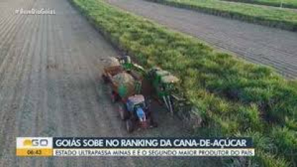 Goiás alcança a segunda posição no ranking de maiores produtores de cana do Brasil