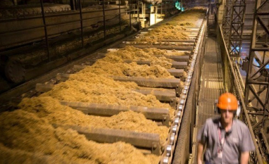 Moagem de Cana Cresce 1,4% no Centro-Sul e Produção de Etanol Dispara na 1ª Quinzena de Maio, Aponta Governo