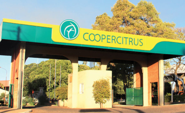 Coopercitrus reforça atuação técnica, soluções completas e proteção ao produtor diante do cenário de El Niño