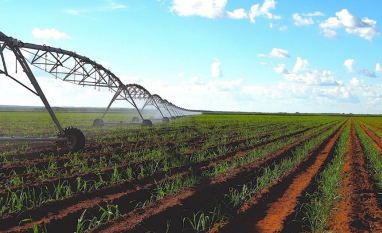 Dia da Agricultura Irrigada: irrigação deixa de ser diferencial e se consolida como ferramenta de gestão de risco no campo