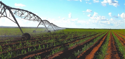 Dia da Agricultura Irrigada: irrigação deixa de ser diferencial e se consolida como ferramenta de gestão de risco no campo
