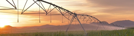 Abertura do 7&ordm; IRRIGACANA discutir&aacute; irriga&ccedil;&atilde;o como ferramenta estrat&eacute;gica