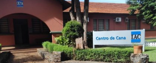 IAC celebra 139 anos com patente para tecnologia que amplia o potencial da cana na produ&ccedil;&atilde;o de biocombust&iacute;veis avan&ccedil;ados