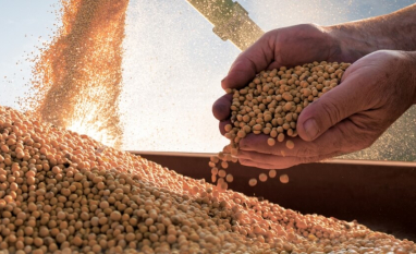 Conab estima produção de grãos em  358,6 milhões de toneladas na safra 2025/26