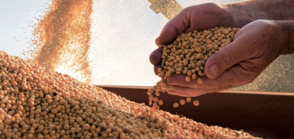 Conab estima produção de grãos em  358,6 milhões de toneladas na safra 2025/26