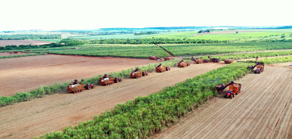 Algar e Usina Coruripe investem R$ 3,7 milhões para expandir conectividade rural em Minas Gerais
