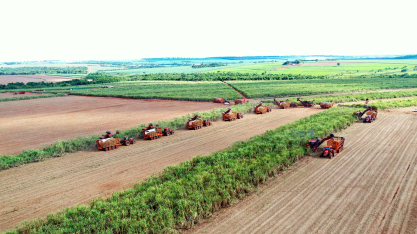 Algar e Usina Coruripe investem R$ 3,7 milhões para expandir conectividade rural em Minas Gerais