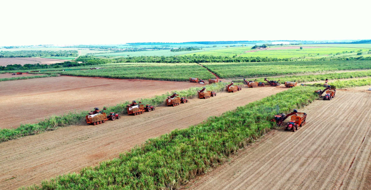 Algar e Usina Coruripe investem R$ 3,7 milh&otilde;es para expandir conectividade rural em Minas Gerais