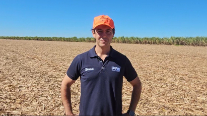 Com irrigação, colheita de cana na Fazenda São Vicente será ainda mais criteriosa