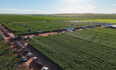 CEPA transforma Angélica-MS em polo sucroenergético nacional com pesquisa agronômica aplicada em cana-de-açúcar