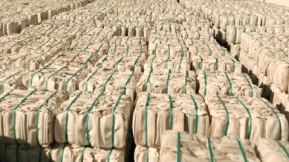Sistema Campo Limpo amplia destinação e reduz custo operacional