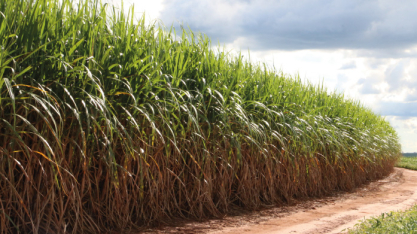El Niño e a próxima safra: como o agro pode se adaptar a um cenário de maior incerteza