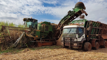 Tereos amplia frota de colhedoras de duas linhas e avança em eficiência energética no campo