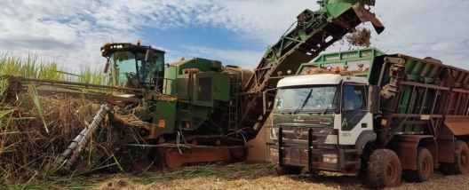 Tereos amplia frota de colhedoras de duas linhas e avan&ccedil;a em efici&ecirc;ncia energ&eacute;tica no campo