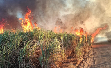 Prevenção e conscientização ajudam usinas a reduzir ocorrências de incêndios em canaviais em Goiás