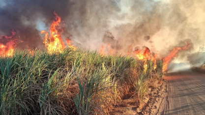 Prevenção e conscientização ajudam usinas a reduzir ocorrências de incêndios em canaviais em Goiás