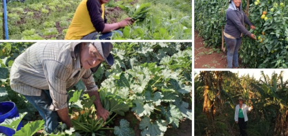 Dia do Agricultor: SP Produz destaca a força da agricultura familiar paulista