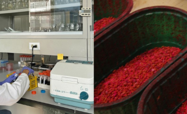 Novo estudo da FAO traz evidências, com base em estudos de caso, sobre a viabilidade econômica e financeira dos bioinsumos na América Latina