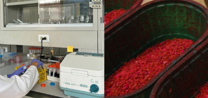 Novo estudo da FAO traz evidências, com base em estudos de caso, sobre a viabilidade econômica e financeira dos bioinsumos na América Latina