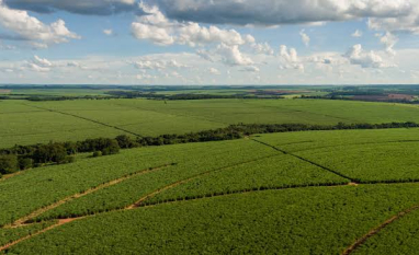 Tereos mapeia 162 mil hectares e estrutura novo modelo de manejo de solo para ampliar produtividade no campo
