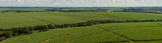 Tereos mapeia 162 mil hectares e estrutura novo modelo de manejo de solo para ampliar produtividade no campo