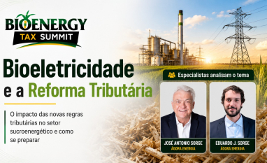 Bioeletricidade pode ter novas regras com a Reforma Tributária e desafiar estratégia das usinas