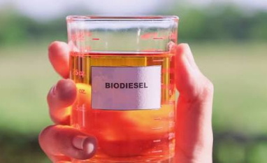 Hedgepoint: demanda por biodiesel leva margem de esmagamento de soja nos EUA a níveis recordes