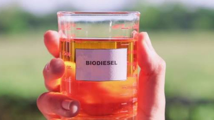 Hedgepoint: demanda por biodiesel leva margem de esmagamento de soja nos EUA a níveis recordes