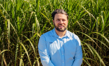 Manejo integrado impulsiona produtividade em fazenda em Nova Europa, que registra média de 105 toneladas por hectare em cana de 3º corte
