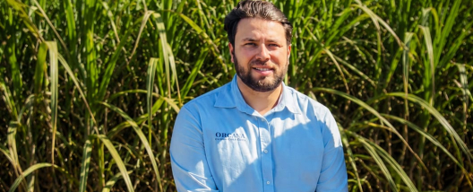 Manejo integrado impulsiona produtividade em fazenda em Nova Europa, que registra m&eacute;dia de 105 toneladas por hectare em cana de 3&ordm; corte