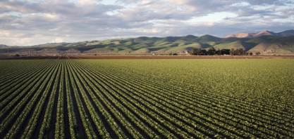 Safra 2026/27 exigirá agricultura mais técnica diante de clima instável, custos elevados e menor margem para erros
