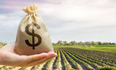 Plano Safra traz avanços em políticas para o crédito rural, mas ainda apresenta desafios estruturais, avalia Coalizão Brasil