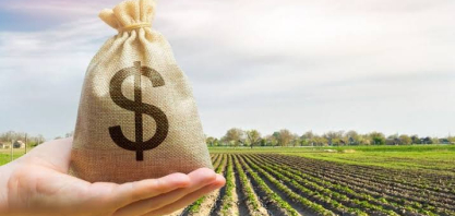 Plano Safra traz avanços em políticas para o crédito rural, mas ainda apresenta desafios estruturais, avalia Coalizão Brasil