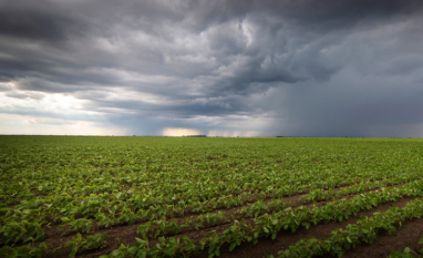 Cinco dicas para o produtor rural enfrentar o El Niño na safra 2026/27