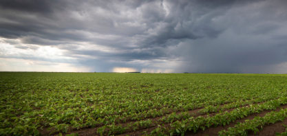 Cinco dicas para o produtor rural enfrentar o El Niño na safra 2026/27