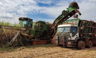 Agroindústria tem queda de -2,8% em maio de 2026, ante o mesmo mês do ano passado, revela o FGVAgro