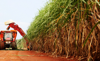 Agronegócio brasileiro: capacidade de superação e muita resiliência