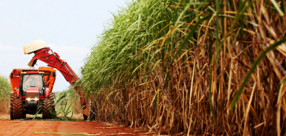 Agronegócio brasileiro: capacidade de superação e muita resiliência