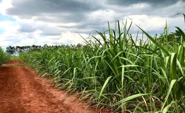 Retorno do El Niño em 2026 exige revisão de coberturas e coloca agronegócio em alerta máximo