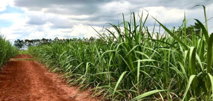 Retorno do El Niño em 2026 exige revisão de coberturas e coloca agronegócio em alerta máximo