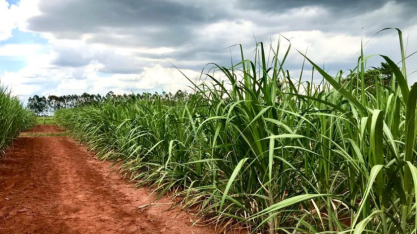 Retorno do El Niño em 2026 exige revisão de coberturas e coloca agronegócio em alerta máximo