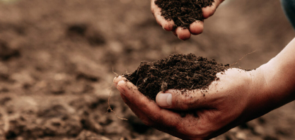 O crescimento dos biofertilizantes revela uma nova fase da agricultura brasileira