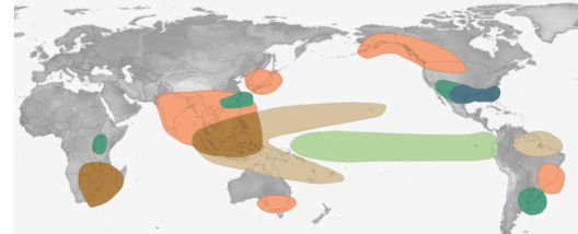 El Ni&ntilde;o amplia riscos para oferta de a&ccedil;&uacute;car no Hemisf&eacute;rio Norte, enquanto Brasil mant&eacute;m perspectiva positiva