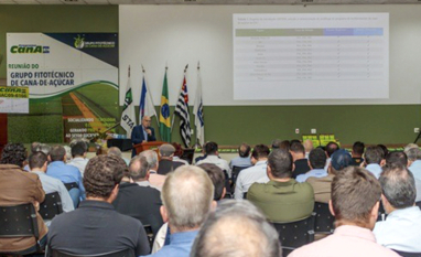 IAC promove 4ª Reunião do Grupo Fitotécnico de Cana com debates sobre mercado, tecnologia e clima para a cana-de-açúcar