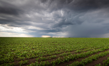 El Niño desafia produção agrícola e exige planejamento de Engenharia no campo