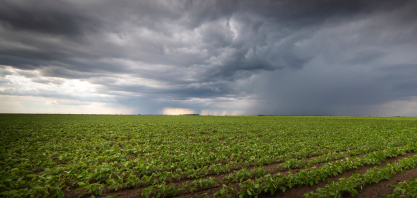 El Niño desafia produção agrícola e exige planejamento de Engenharia no campo